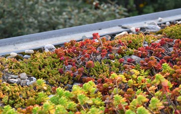 the cost of Longburgh green roof installation