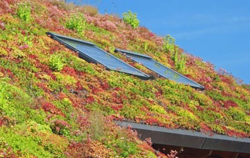 Longburgh living roof systems